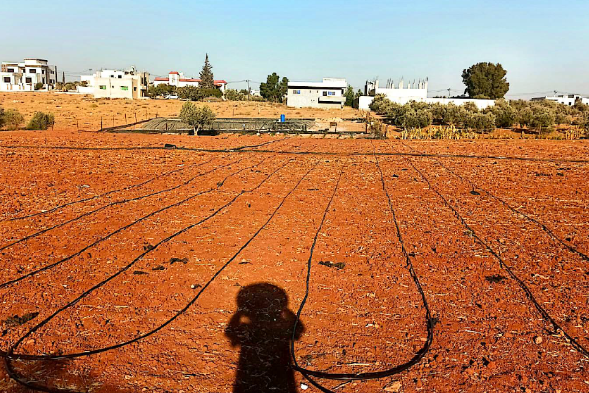 A landscape photo of an agricultural field featuring reddish-brown earth and long, parallel lines of black irrigation piping. In the distance, several white, multi-story buildings and green trees are visible against a pale blue sky. The shadow of the photographer is cast on the soil in the foreground.